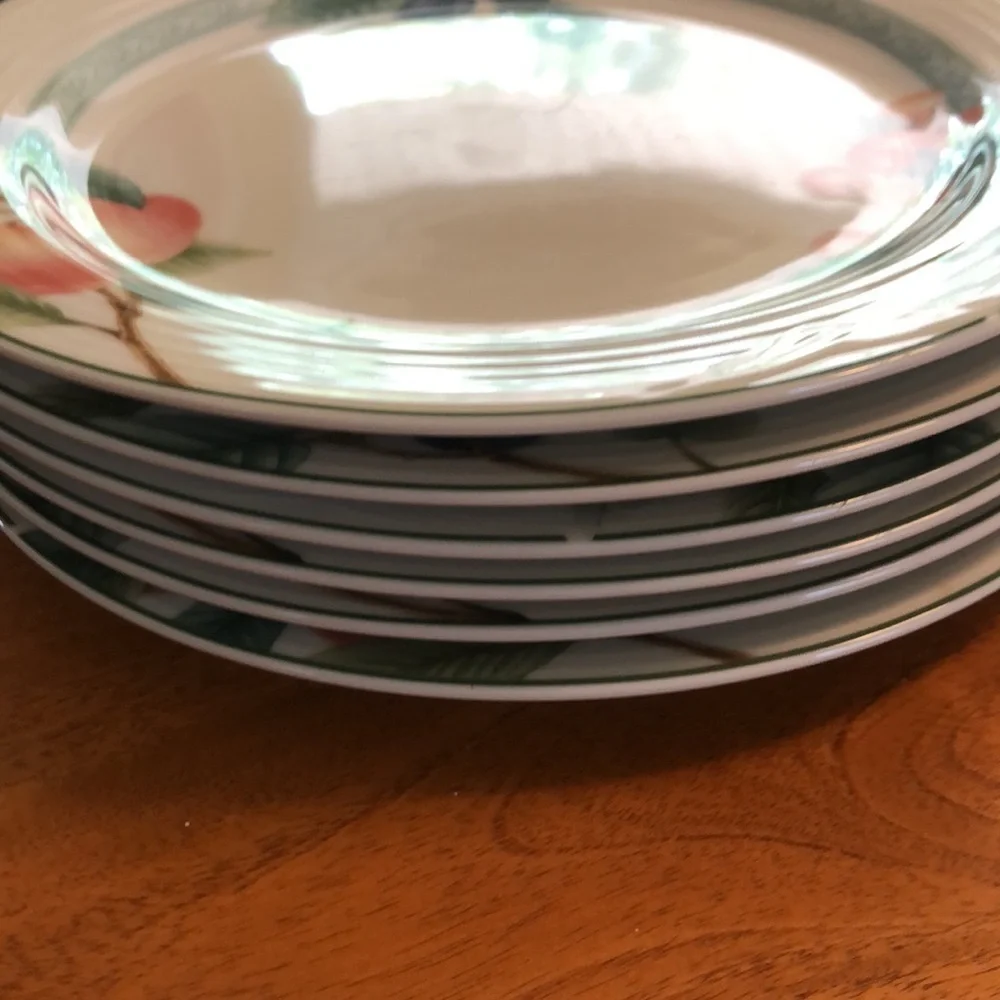 Six (6) Noritake Arctic Berries Salad Plates